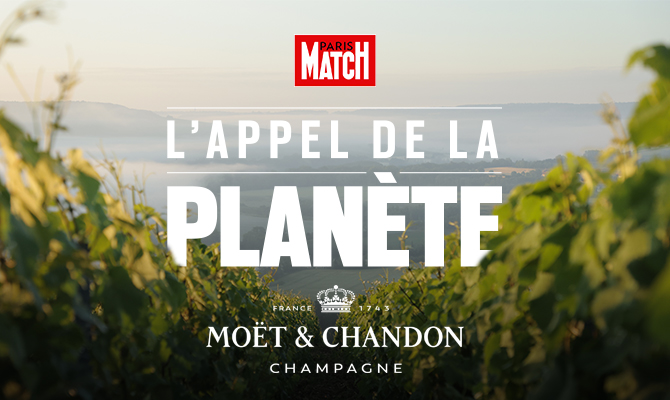 Vignette Etude de cas Moët & Chandon